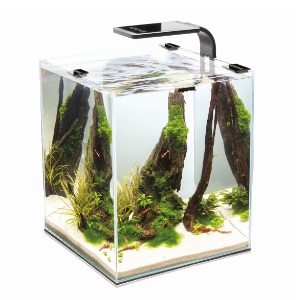 Akvarijní osvětlení LEDDY SMART- PLANT BLACK 6 W.