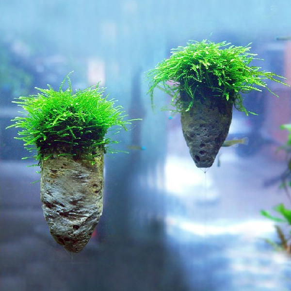 Létající kámen M 18-24cm