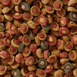 sera Koi All Seasons Probiotics 5 kg