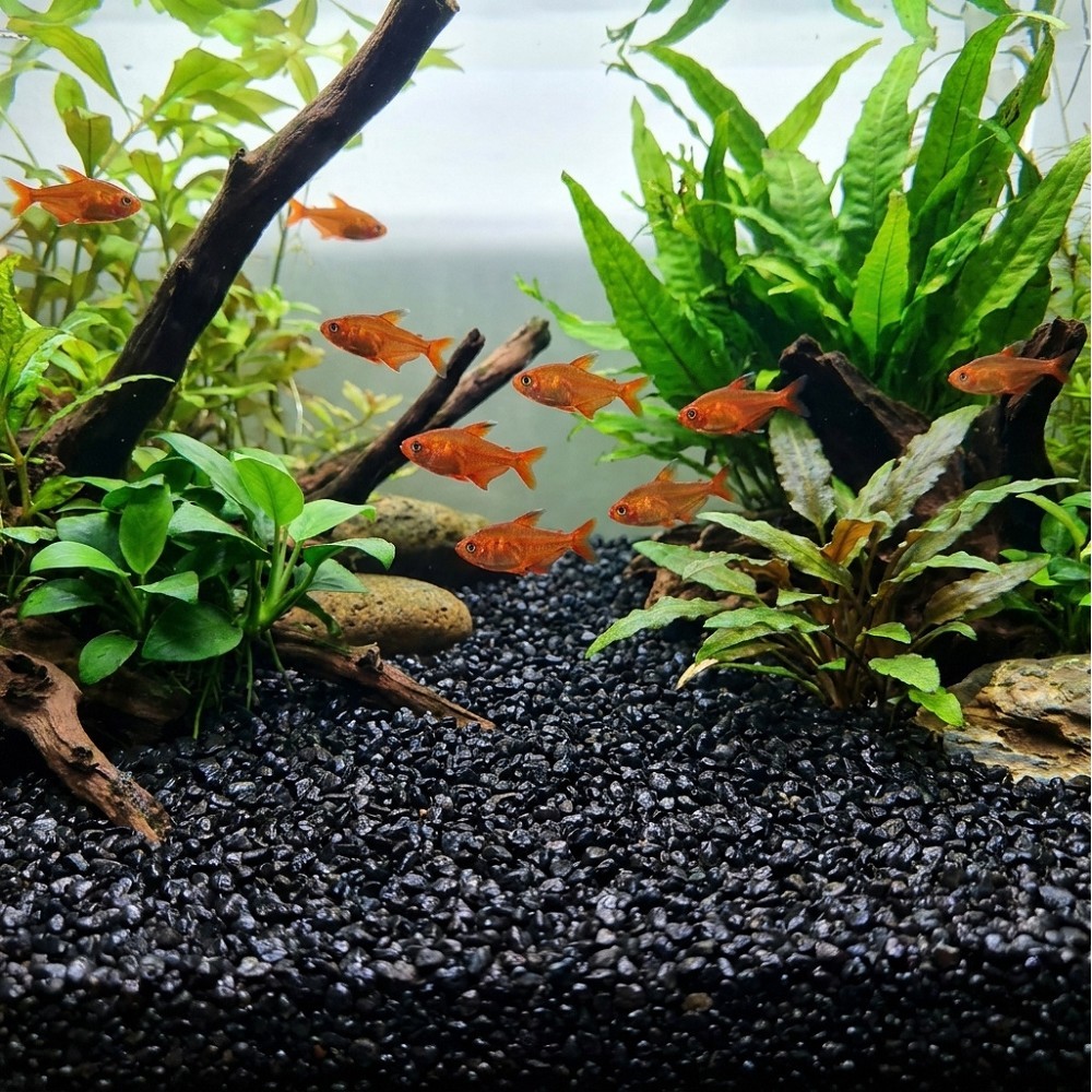Akvarijní štěrk černý 300 g DECO Betta