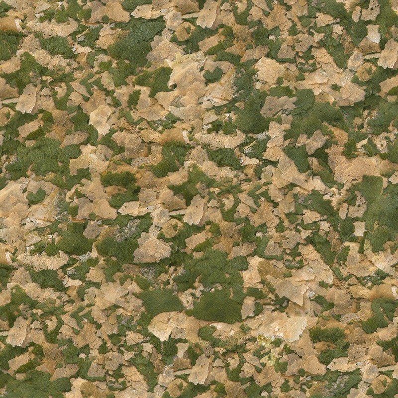  sera Vipan Flakes 250 ml (60 g)