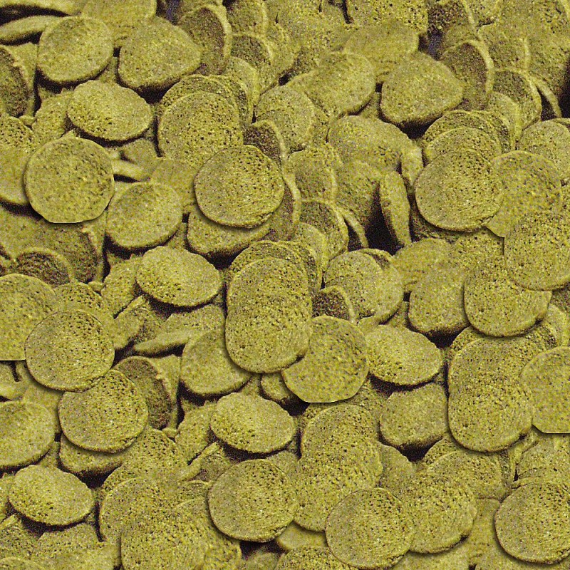 sera Pleco Chips 100ml (36g)