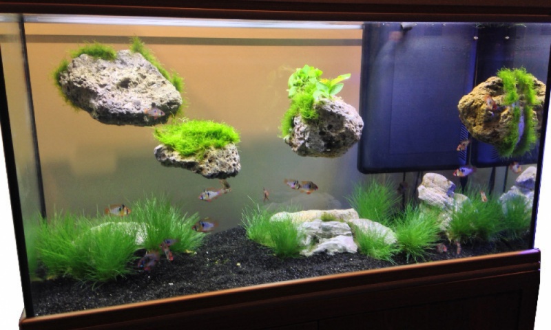 Létající kámen XS 5-6 cm