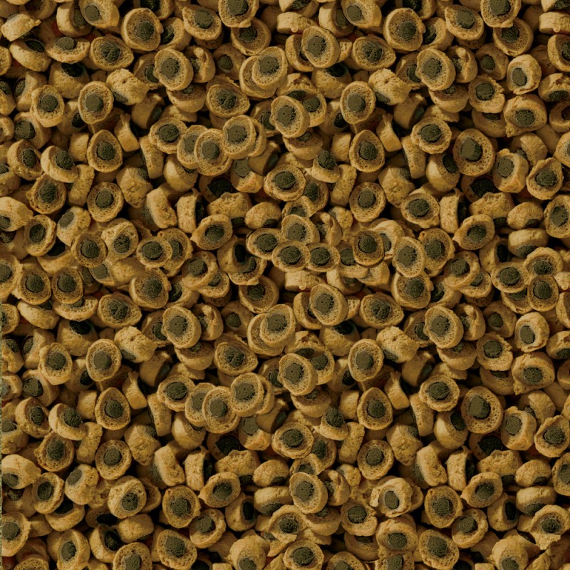 sera reptil Herbivor Nature 250 ml