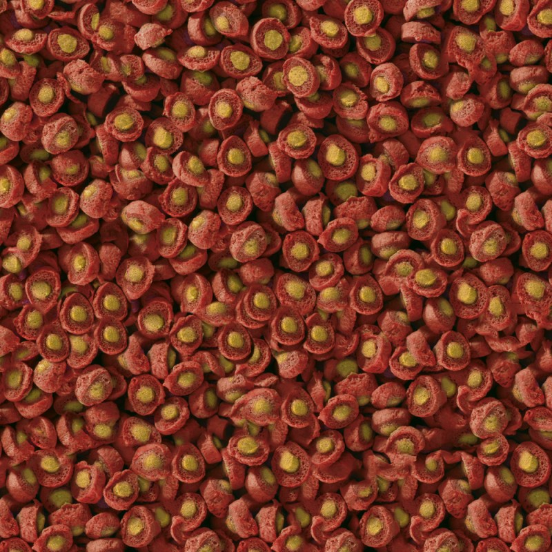 sera KOI jarní/podzimní krmivo 1000 g