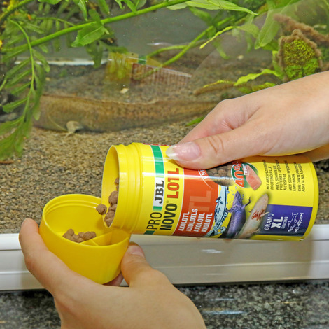 JBL Krmivo ProNovo Lotl Grano XL, 250 ml